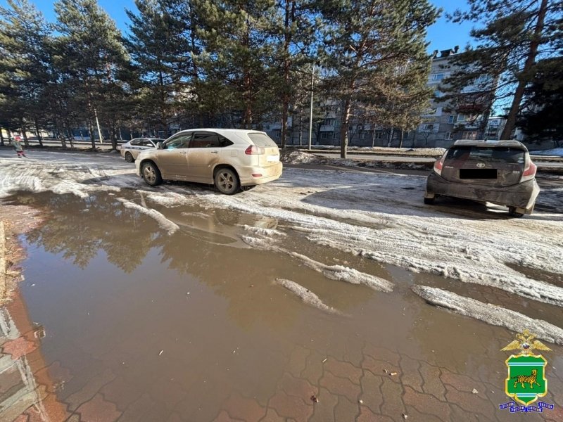 ДТП в Биробиджане областная ГАИ