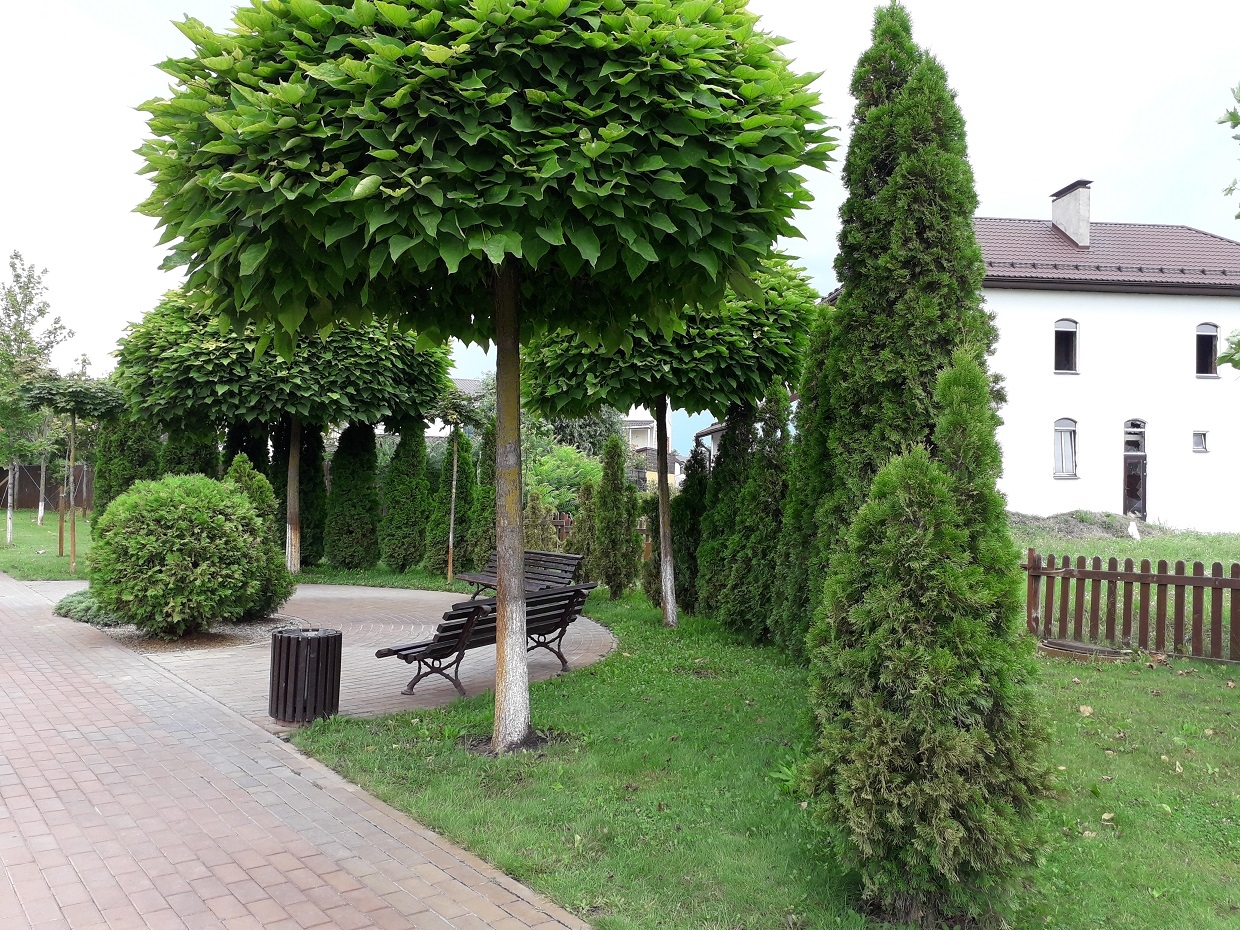 Тематическое фото Людмила Лата, ИА KrasnodarMedia