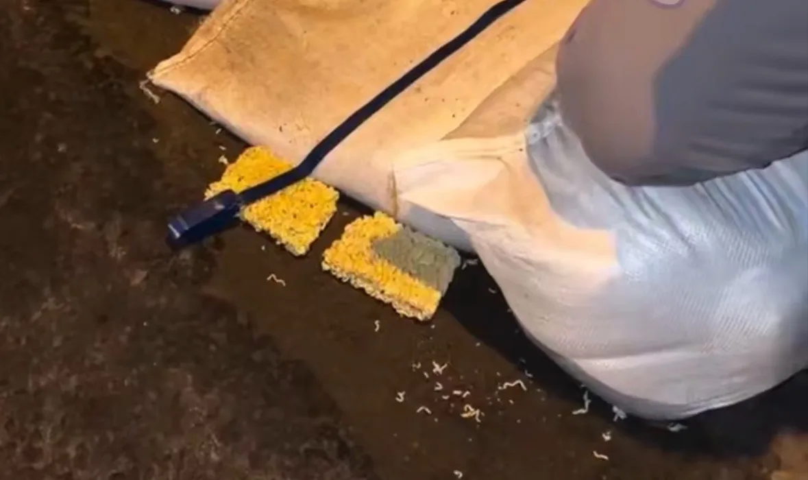 скриншот Tg-канал &quotsvodka25&quot (18+)