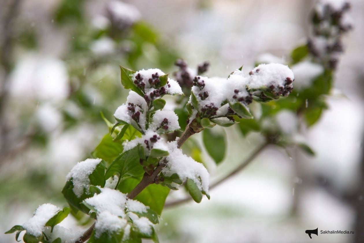 Тематическое фото Артём Хорошилов, ИА Stavropol.Media