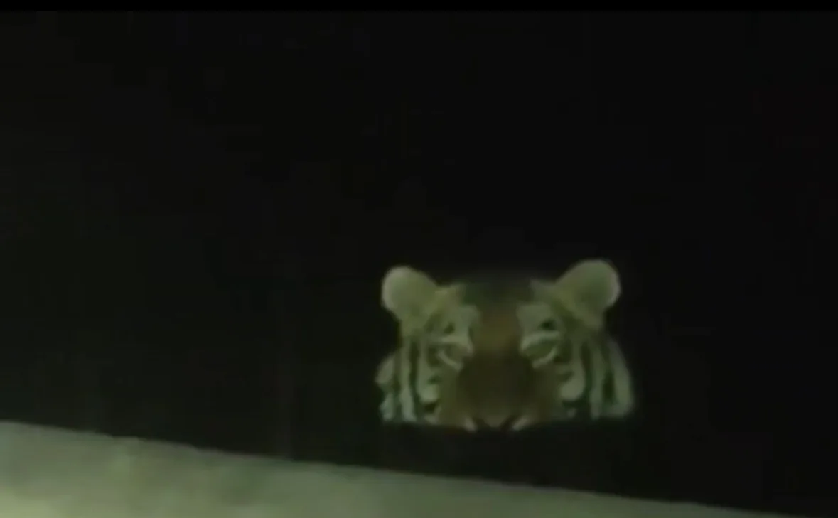 Скриншот Tg-канал &quotsvodka25&quot (18+)