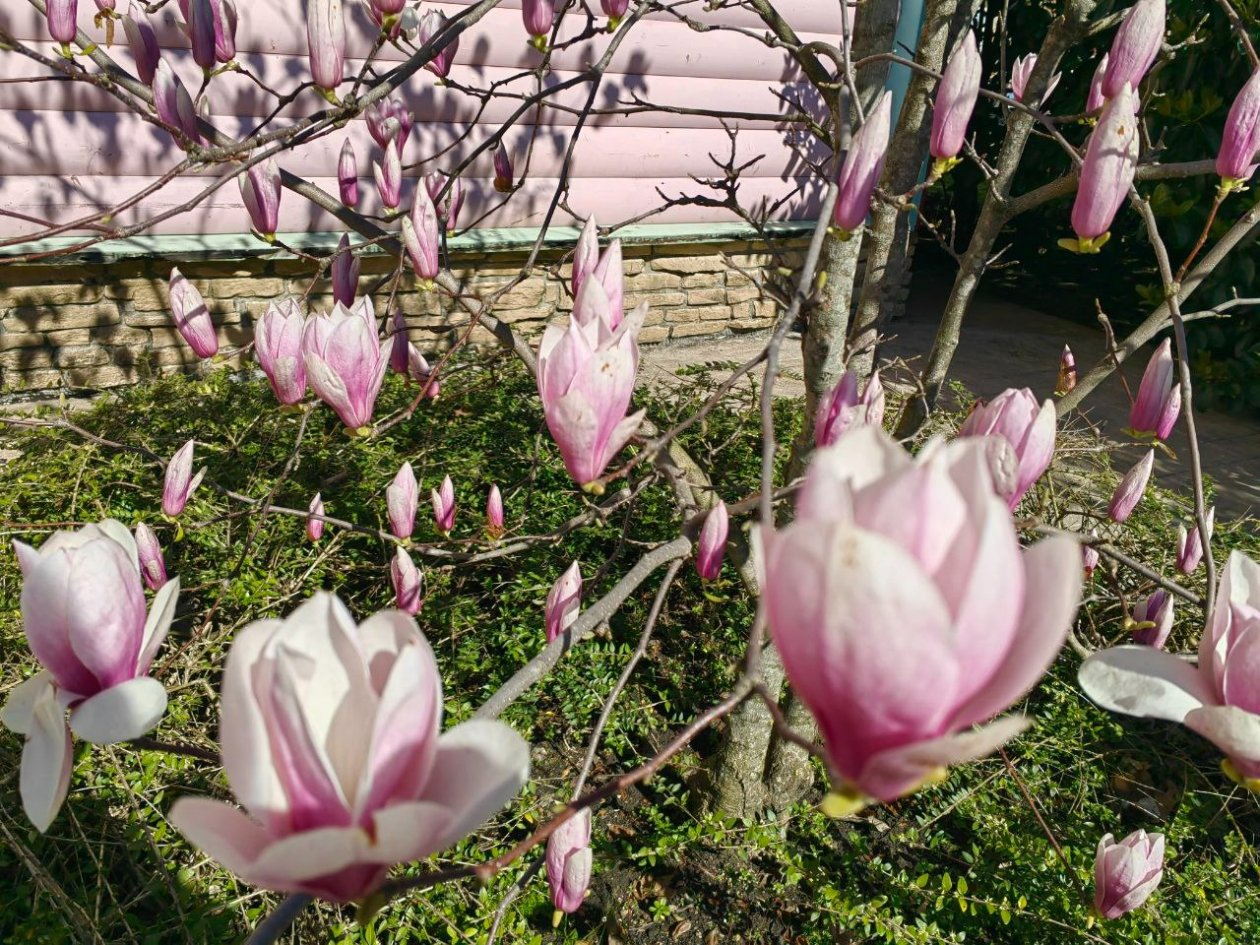 Теплый фронт придет на Кубань вопреки календарю Светлана Юдина