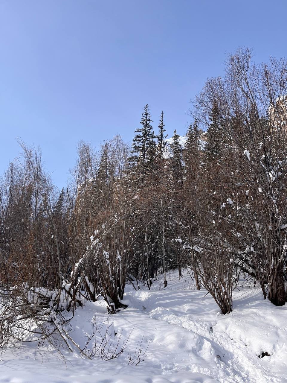 Гороскоп на 19 марта: Рак сосредоточен на задачах,Стрелец проявляет бдительность ИА YakutiaMedia
