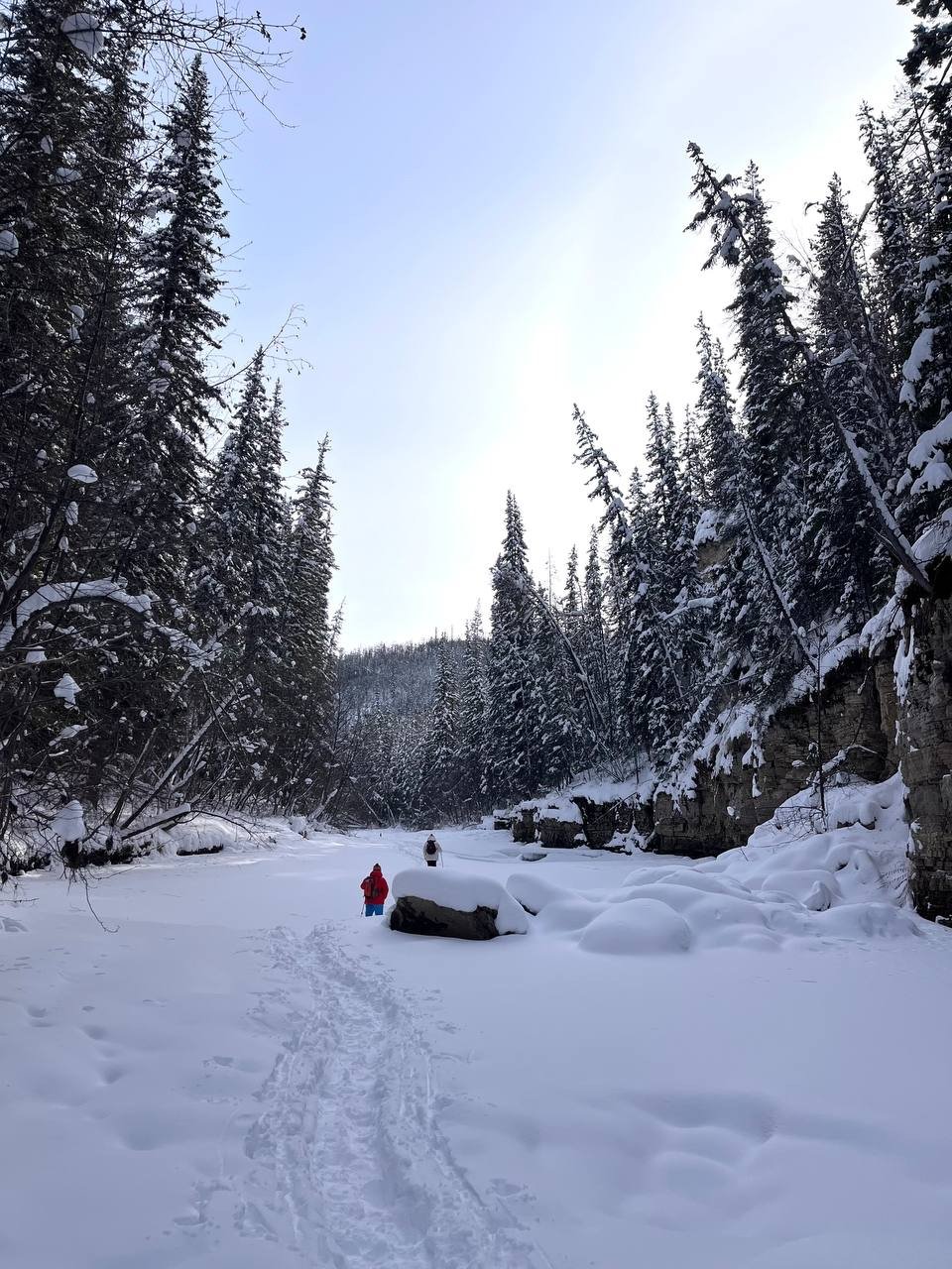 Гороскоп на 21 марта: Девы избегают переохлаждения, Весы наводят порядок ИА YakutiaMedia