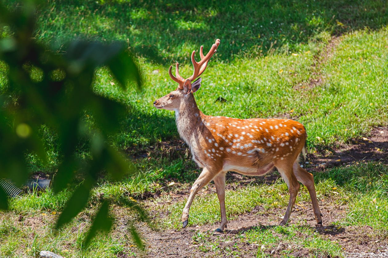 Заповедник Мария Смитюк, ИА PrimaMedia