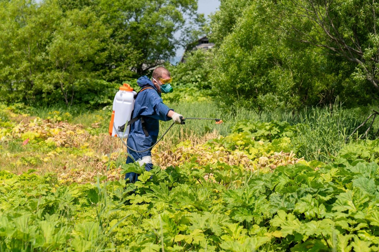 пресс-служба администрации Южно-Сахалинска