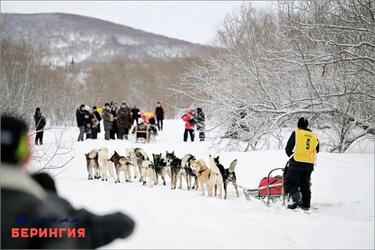 &quotБерингия-2026&quot Оргкомитет гонки