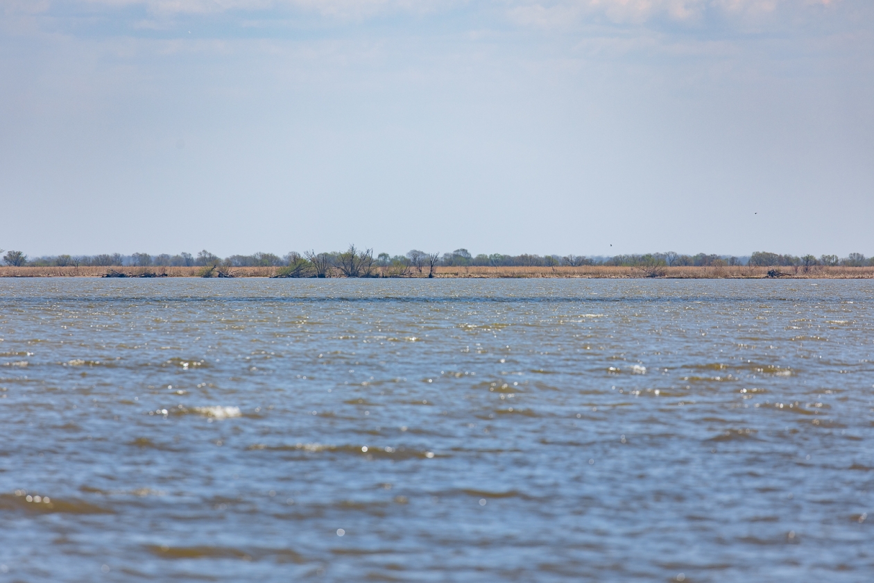 Тематическое фото ИА PrimaMedia