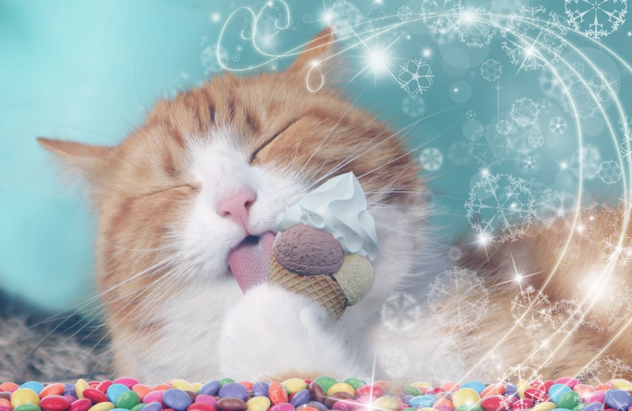 Тематическое фото Сайт pxhere.com