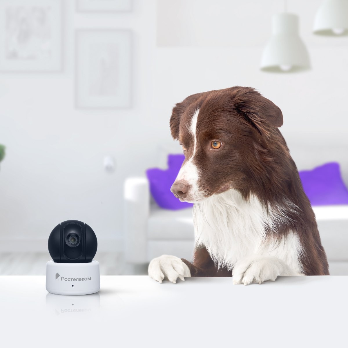 Тематическая иллюстрация Пресс-служба компании Ростелеком