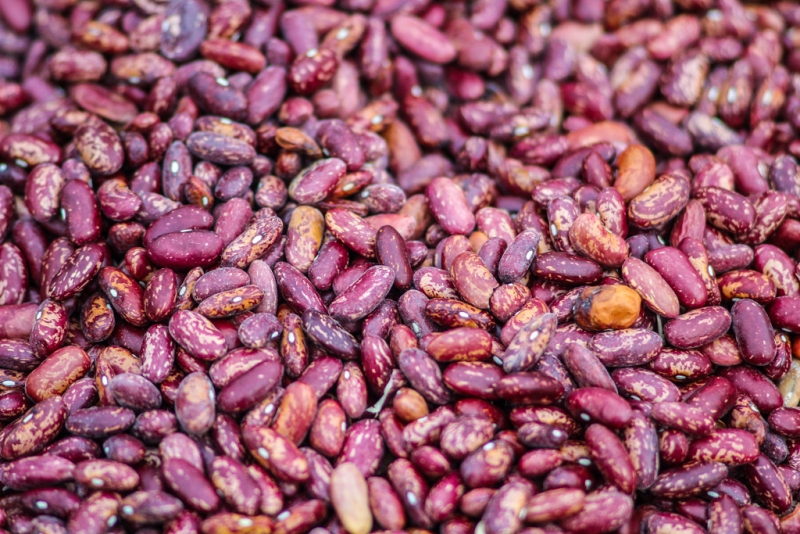 Тематическое фото Антон Балашов, ИА PrimaMedia