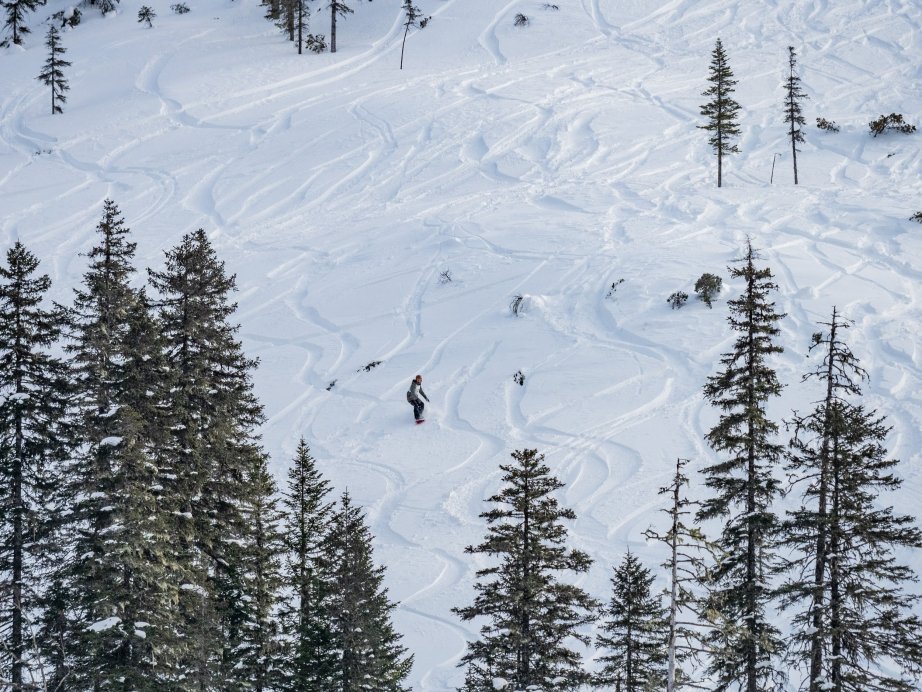 Открытое первенство Хабаровского края по фрирайду состоится 21 марта Сайт министерства спорта Хабаровского края