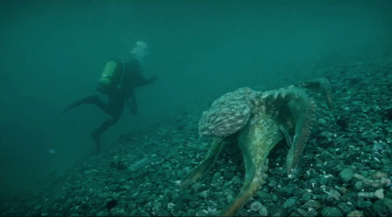 Скриншот с видео Дмитрий Рудась