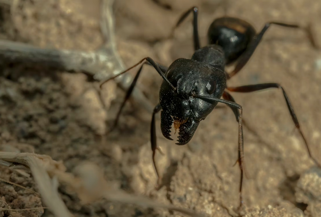 Тематическое фото Unsplash.com (18+)