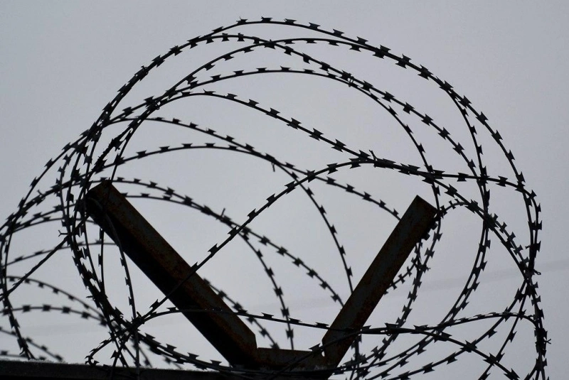 Тематическое фото ИА PrimaMedia