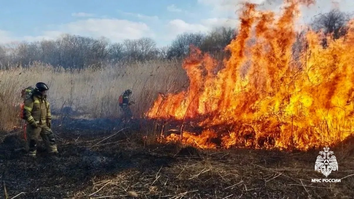 Горящий сухой камыш на пяти гектарах у жилых домов пушат в Ставрополе пресс-служба ГУ МЧС Ставрополья