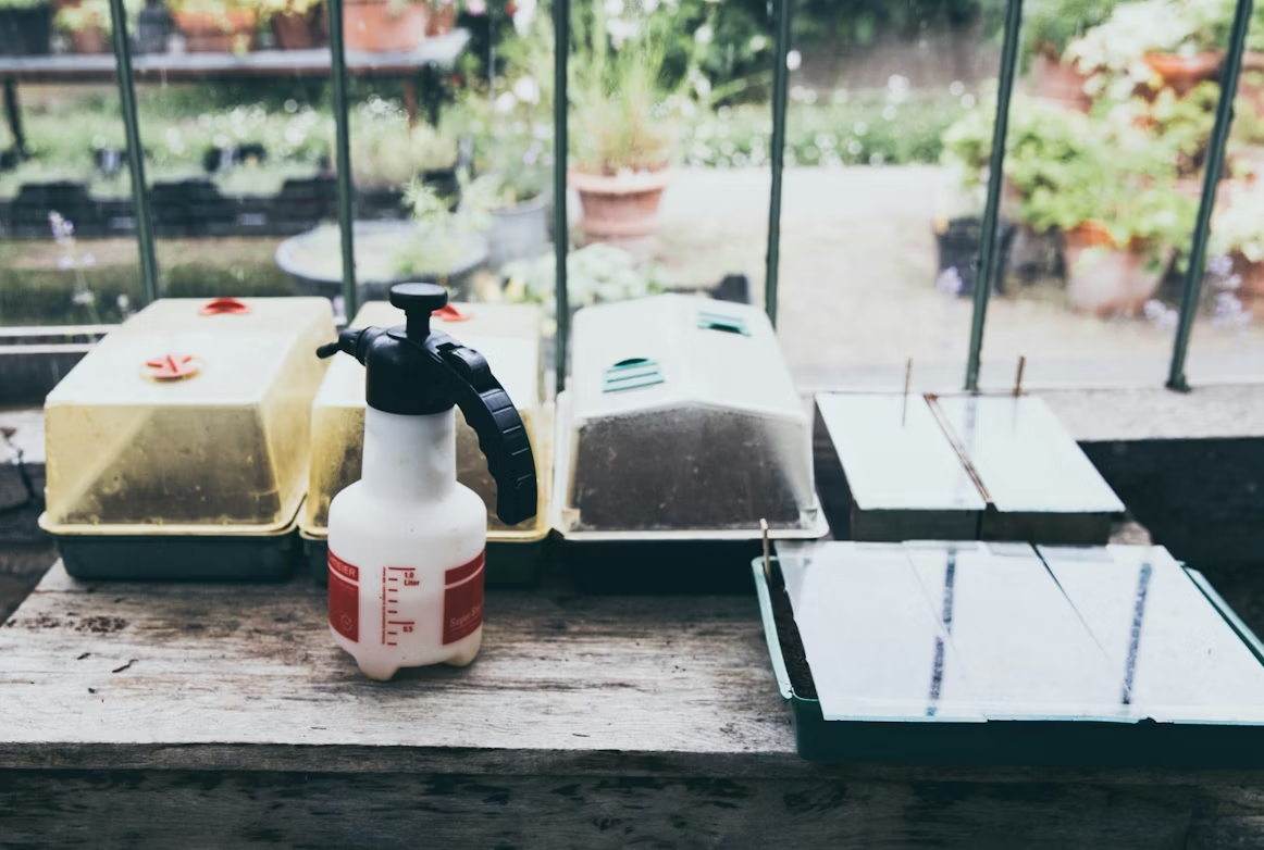 Втыкаю вилку в землю на огороде: вредители навсегда забыли дорогу — решение на вашем огороде unsplash.com