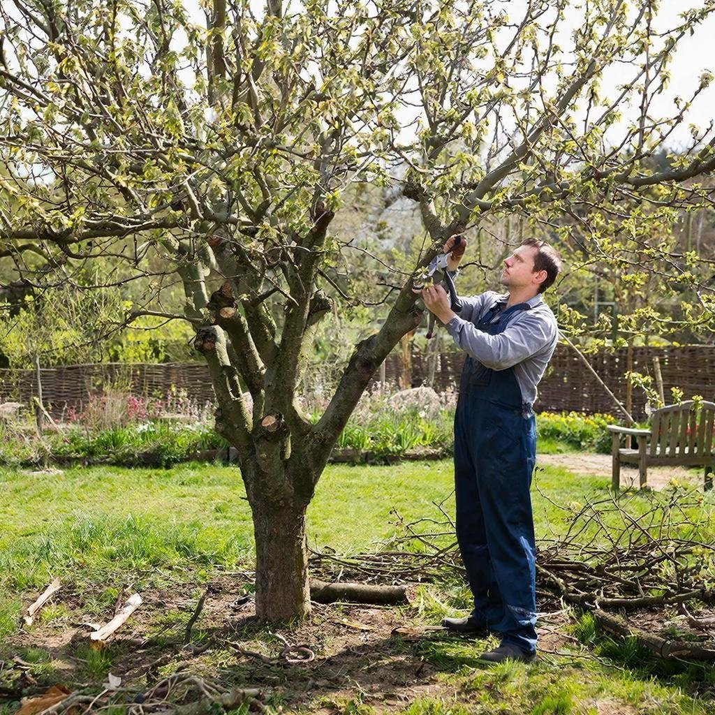 Тематическое изображение ИИ ГигаЧат (18+)