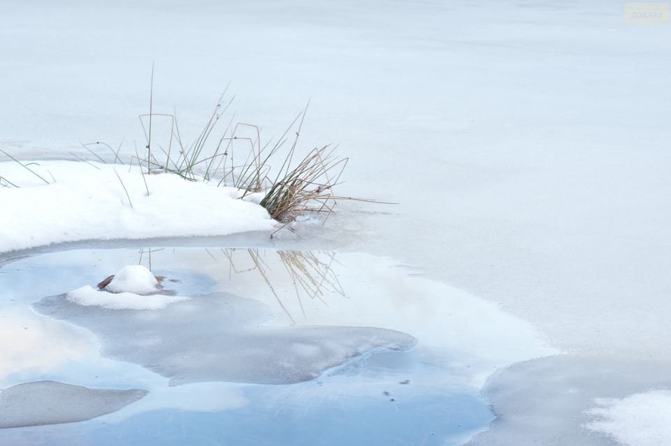 Тематическое фото https://pxhere.com/ru