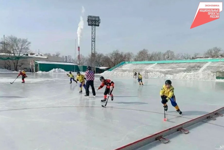Спортшкола &quotЗаря&quot в Хабаровске оптимизирует процесс приема и зачисления детей в секции Пресс-служба министерства экономического развития Хабаровского края