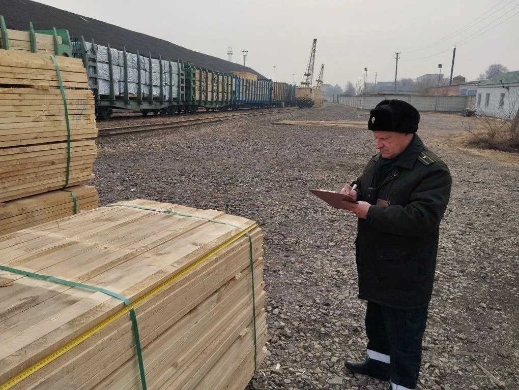 Задержанная партия пиломатериалов пресс-служба Уссурийской таможни