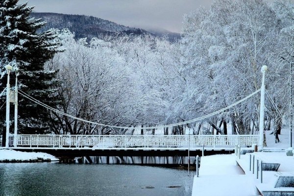 Архив учреждения / Архив автора / Юркова Полина Алексеевна