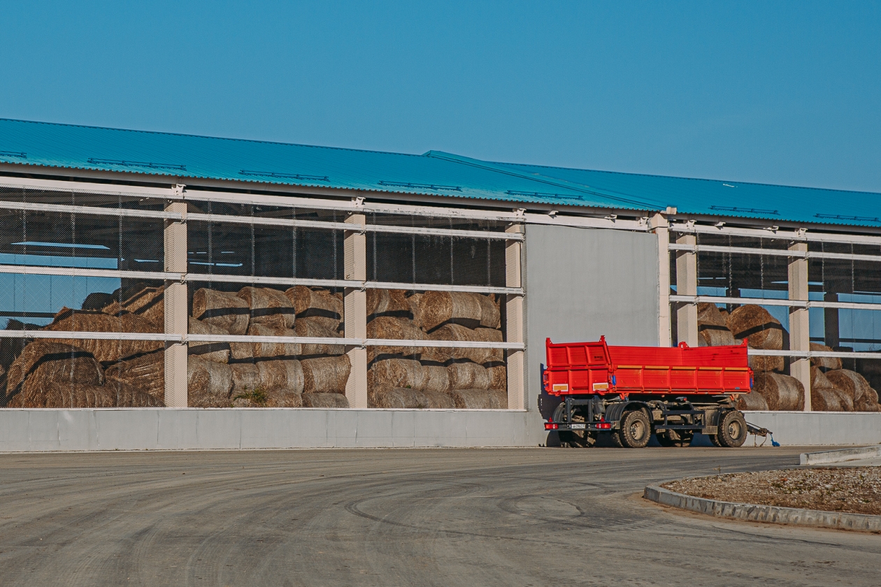 ферма, сельское хозяйство,  сельхоз, сено, сельскохозяйственная техника Мария Смитюк, ИА PrimaMedia