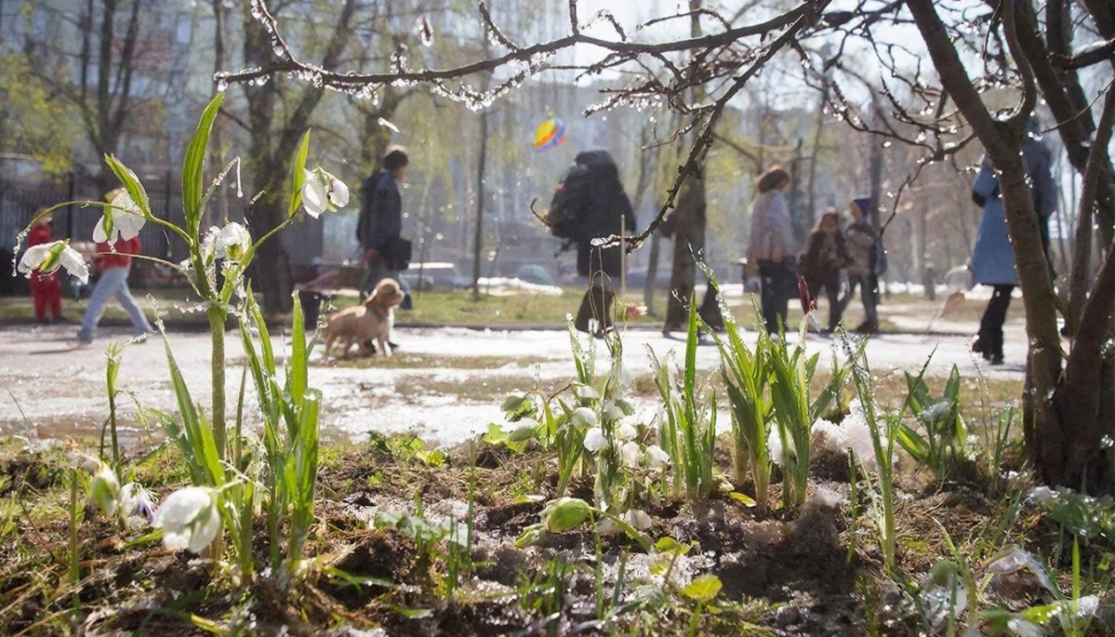 Синоптики рассказали, какую погоду ждать на предстоящей неделе в Иркутской области Kandinsky by Sber AI (18+)