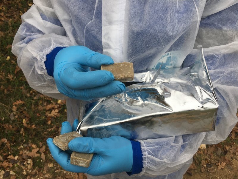 Правительство Севастополя