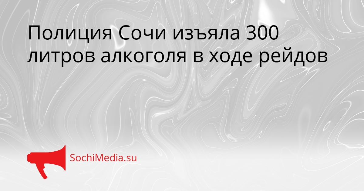 Полиция Сочи изъяла 300 литров алкоголя в ходе рейдов Сгенерировано