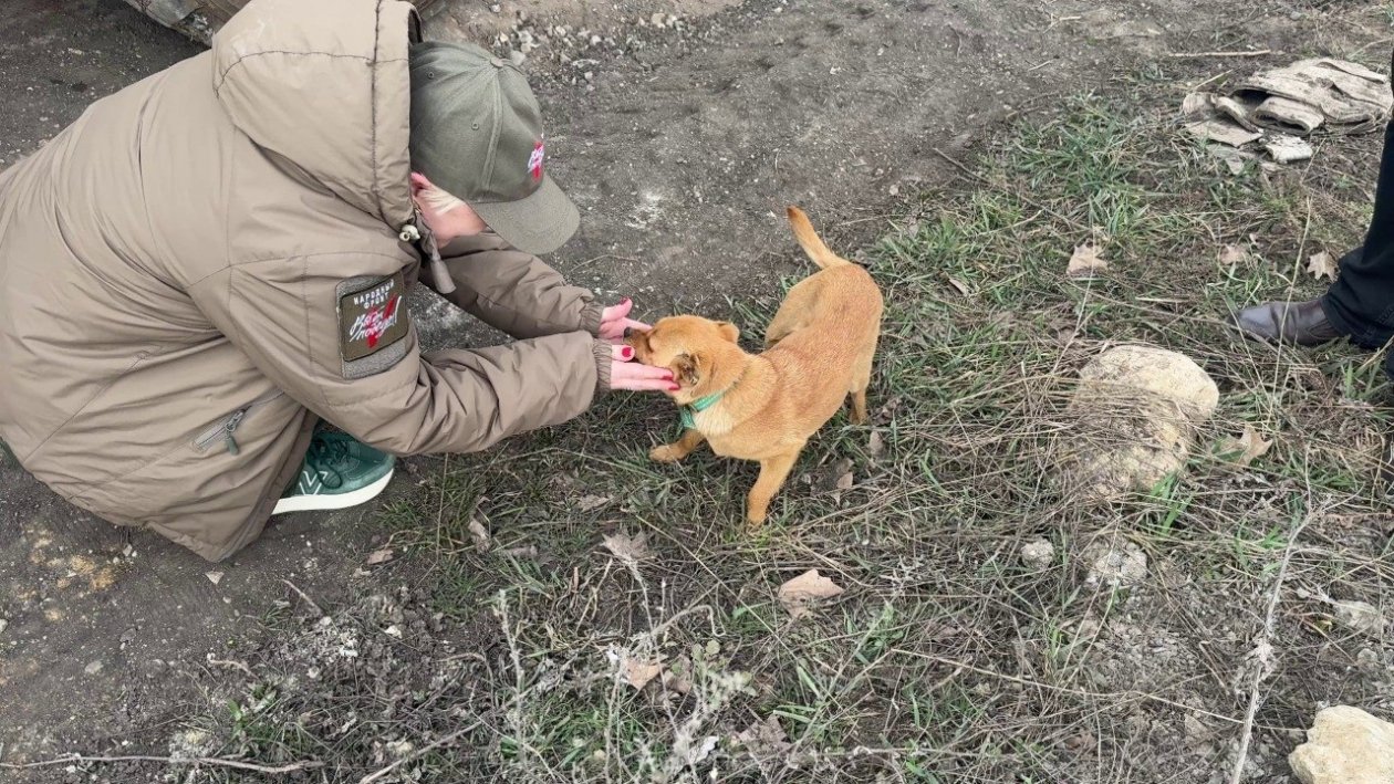 Ракета дарит бойцам позитив Народный фронт Крыма