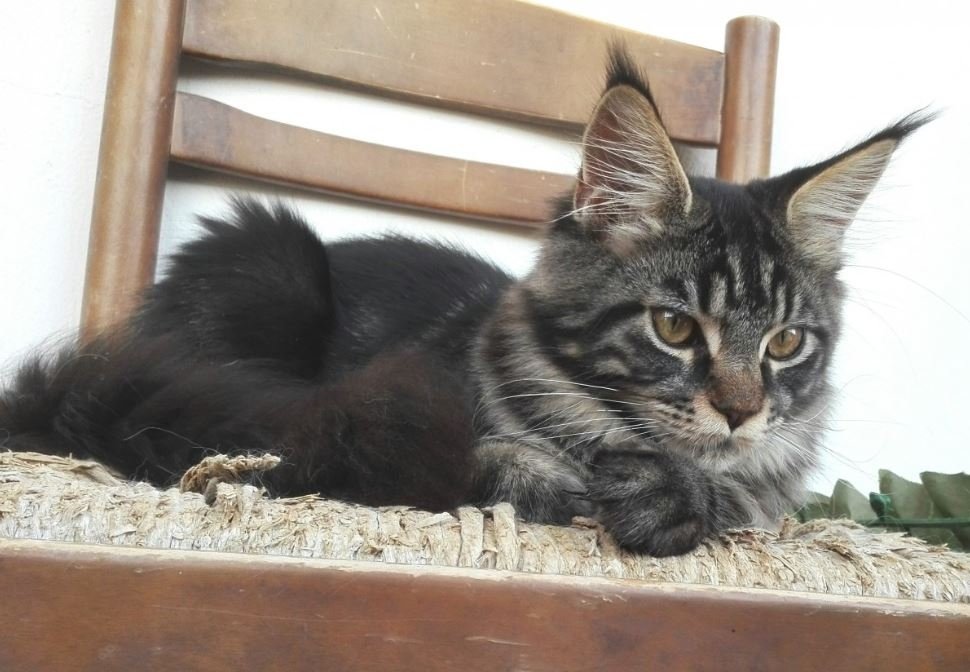 Тематическое фото pxhere.com