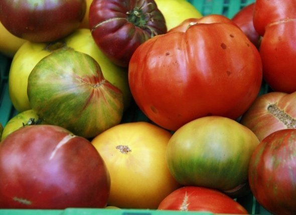 Тематическое фото pxhere.com (18+)