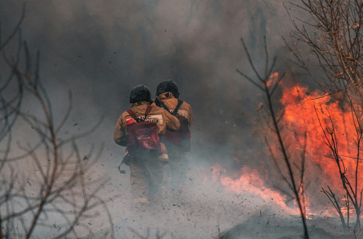 Тематическое фото unsplash.com