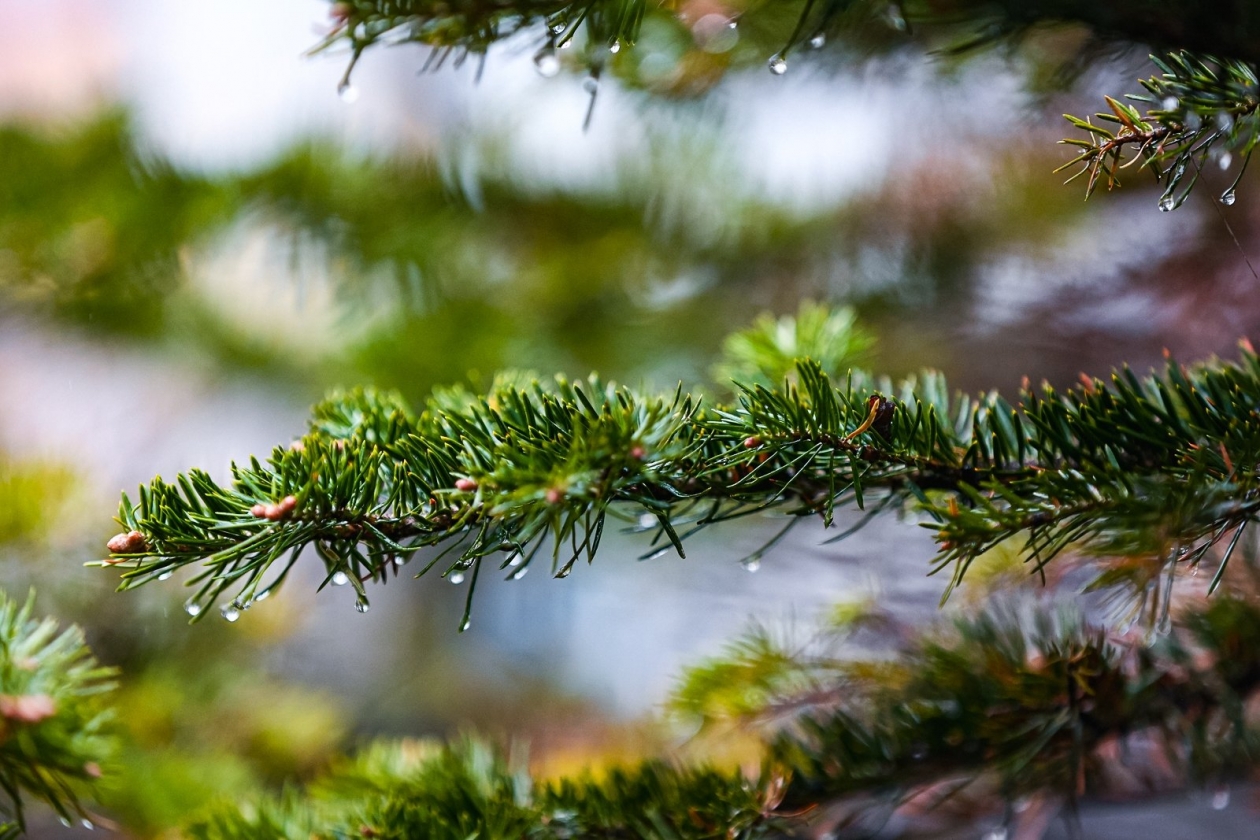 Тематическое фото Илья Аверьянов, ИА PrimaMedia