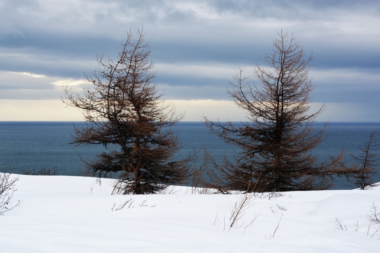 Тематическое фото Людмила Шубина
