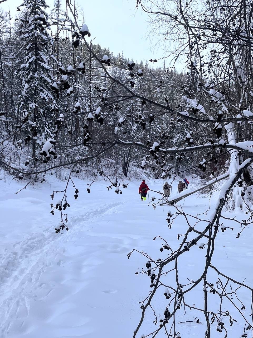 Гороскоп на 23 марта: Близнецы дипломатичны, Козерог избегает нагрузок ИА YakutiaMedia