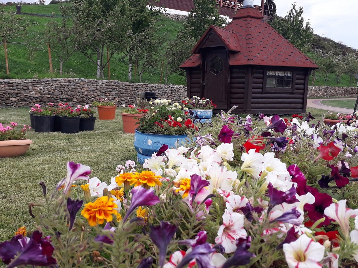 благоустройство, цветы, улица, домик, лето, красота Немецкая деревня (микрорайон Краснодара) Людмила Лата, ИА KrasnodarMedia