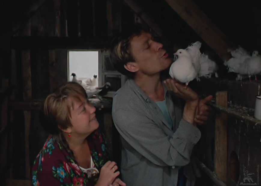 Только элитный киноман назовет 5/5 фильмов СССР по 1 кадру - ТЕСТ Кадр из фильма &quotЛюбовь и голуби&quot (12+)