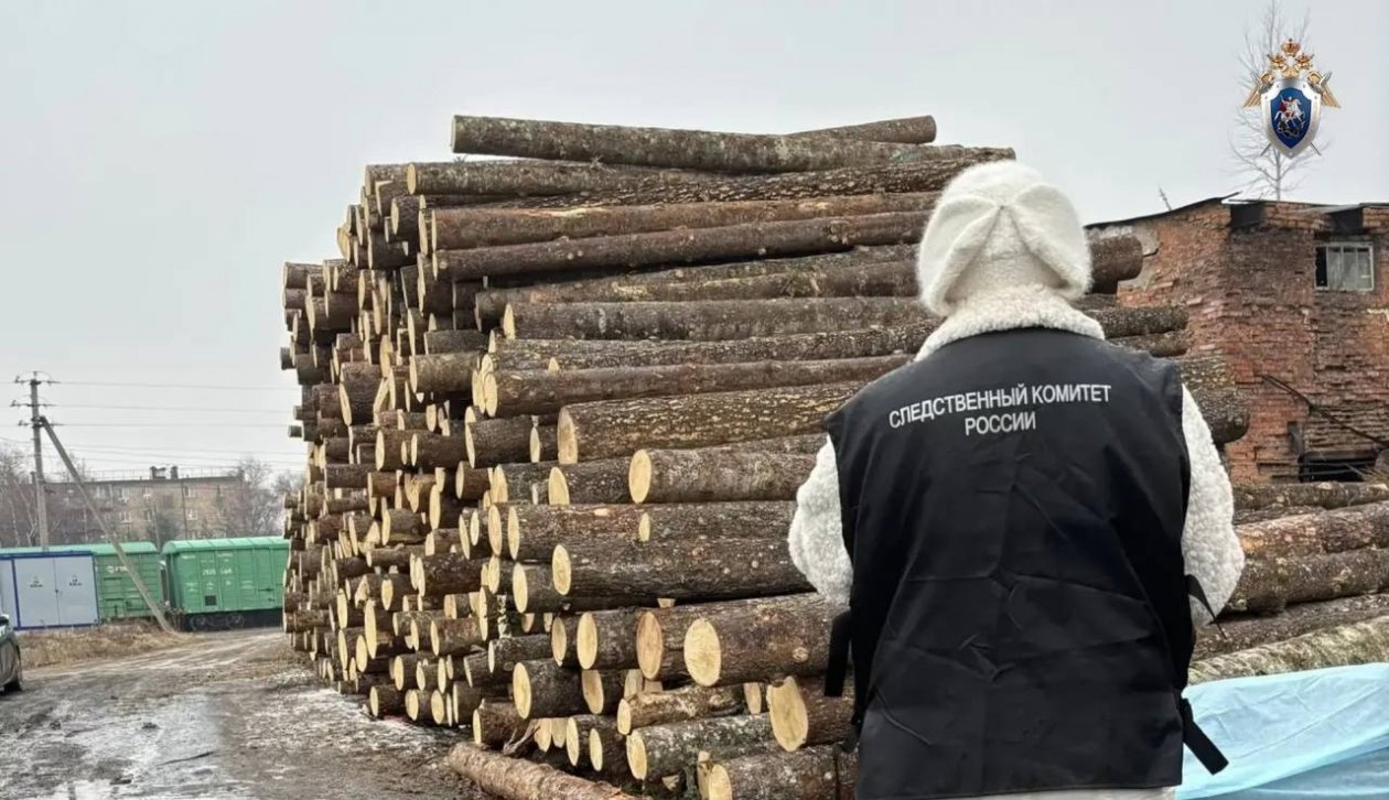 Ребёнок погиб под упавшим бревном на неогороженном складе в Арсеньеве пресс-служба Следкома Приморья