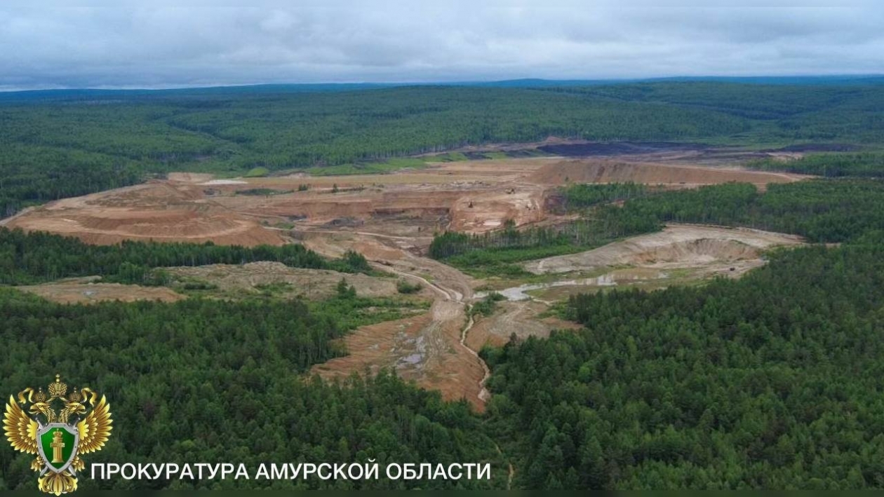 Сумма причиненного ущерба оценена более чем в 7 млн рублей прокуратура Амурской области