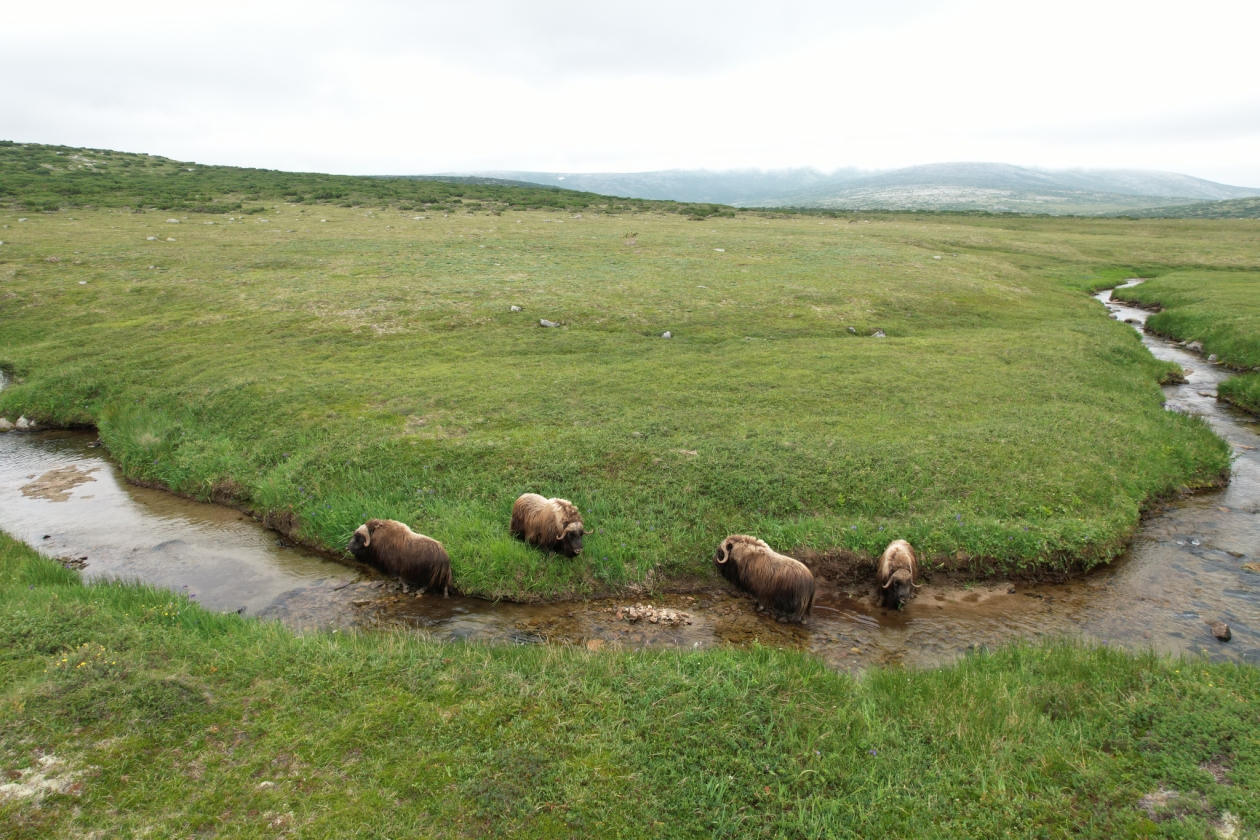 Портал Путешествуем.рф продолжает укреплять позиции Источник