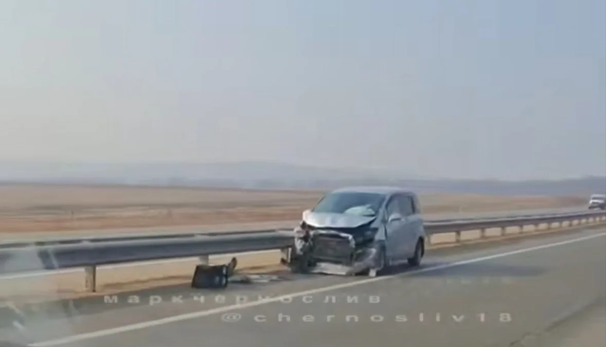 Мужик снес целое стадо коров tg-канал (18+) mark2_che