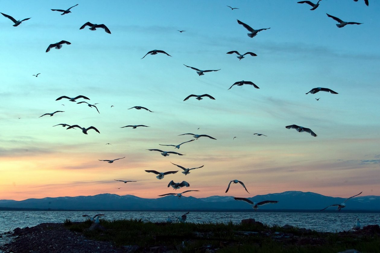ФГБУ «Заповедное Приамурье»