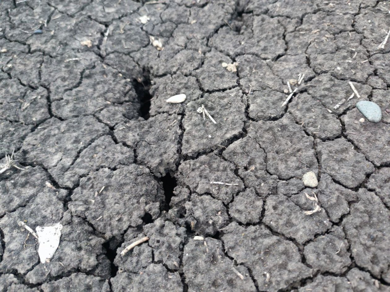 Землетрясение магнитудой 3,4 произошло в 2 км от Георгиевска на Ставрополье ИА Stavropol.Media