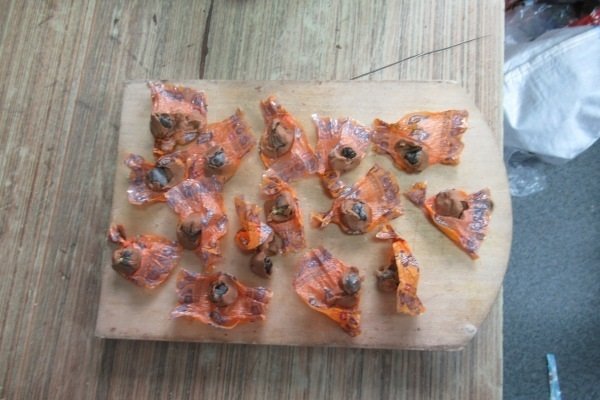 В колонии Приморья раскрыта изощрённая попытка передачи наркотиков Пресс-служба ГУФСИН России по Приморскому краю