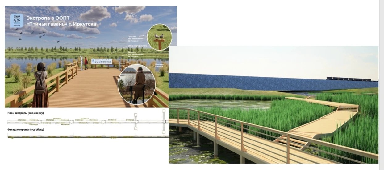 В &quotПтичьей гавани&quot в Иркутске появится экотропа с биноклями Пресс-служба мэрии города