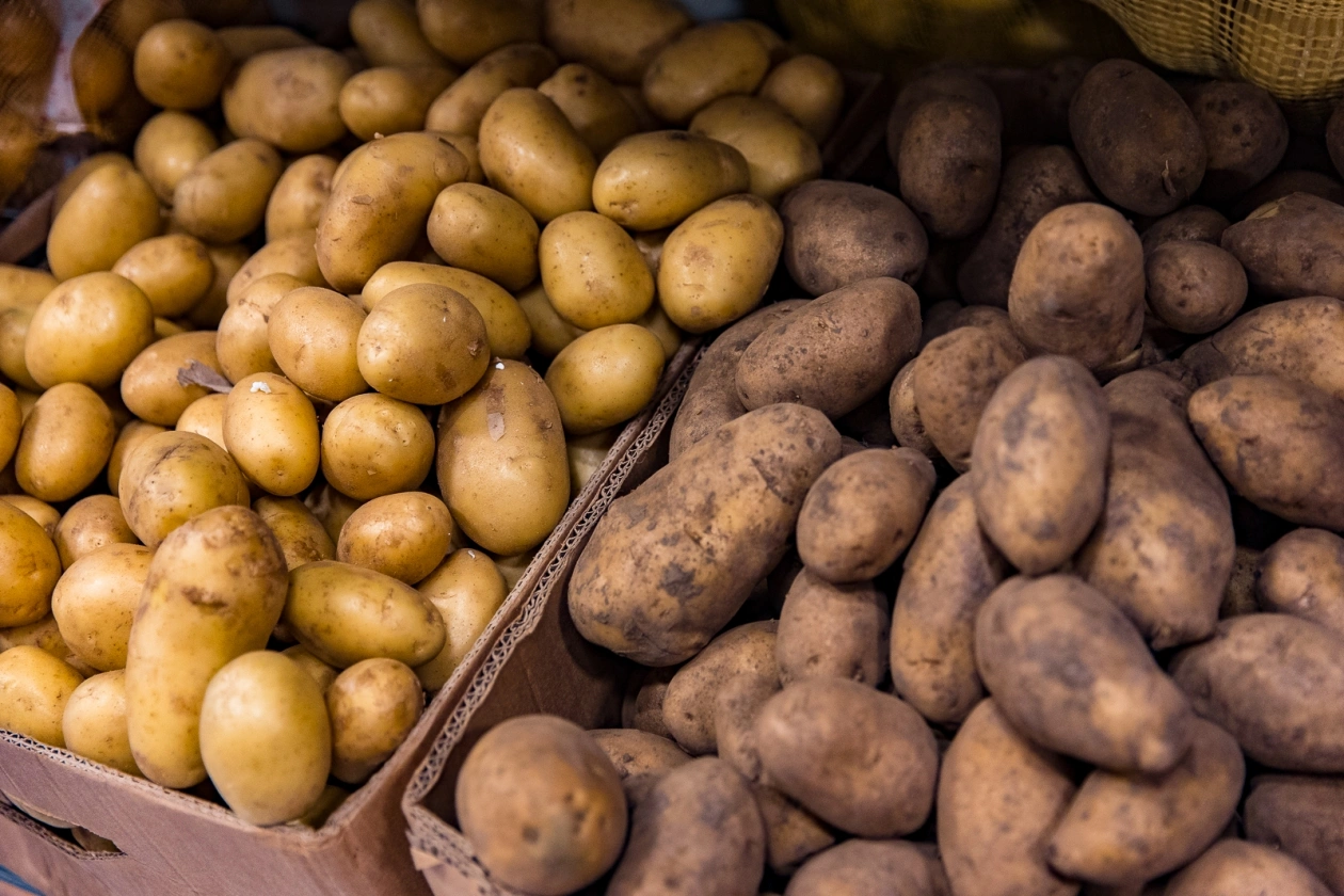 Тематическое фото ИА PrimaMedia