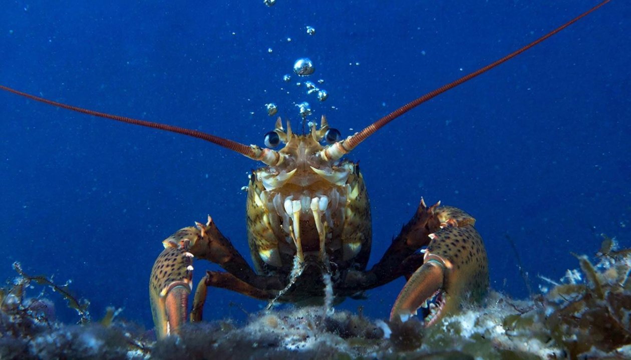 Тематическое фото ИИ GigaChat (18+)