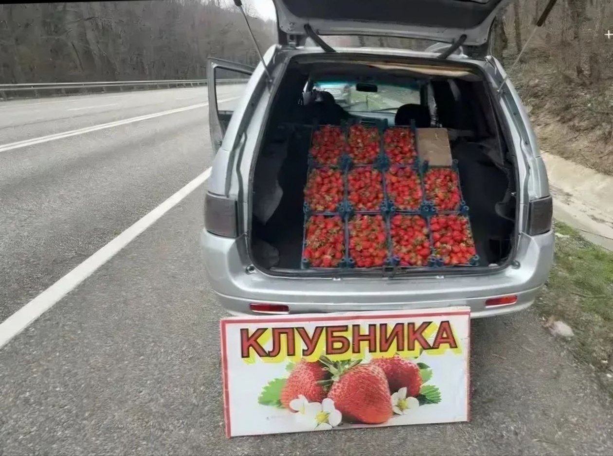 Жителей Кубани предостерегли от покупки опасной клубники на обочинах t.me/glavatuapseregion